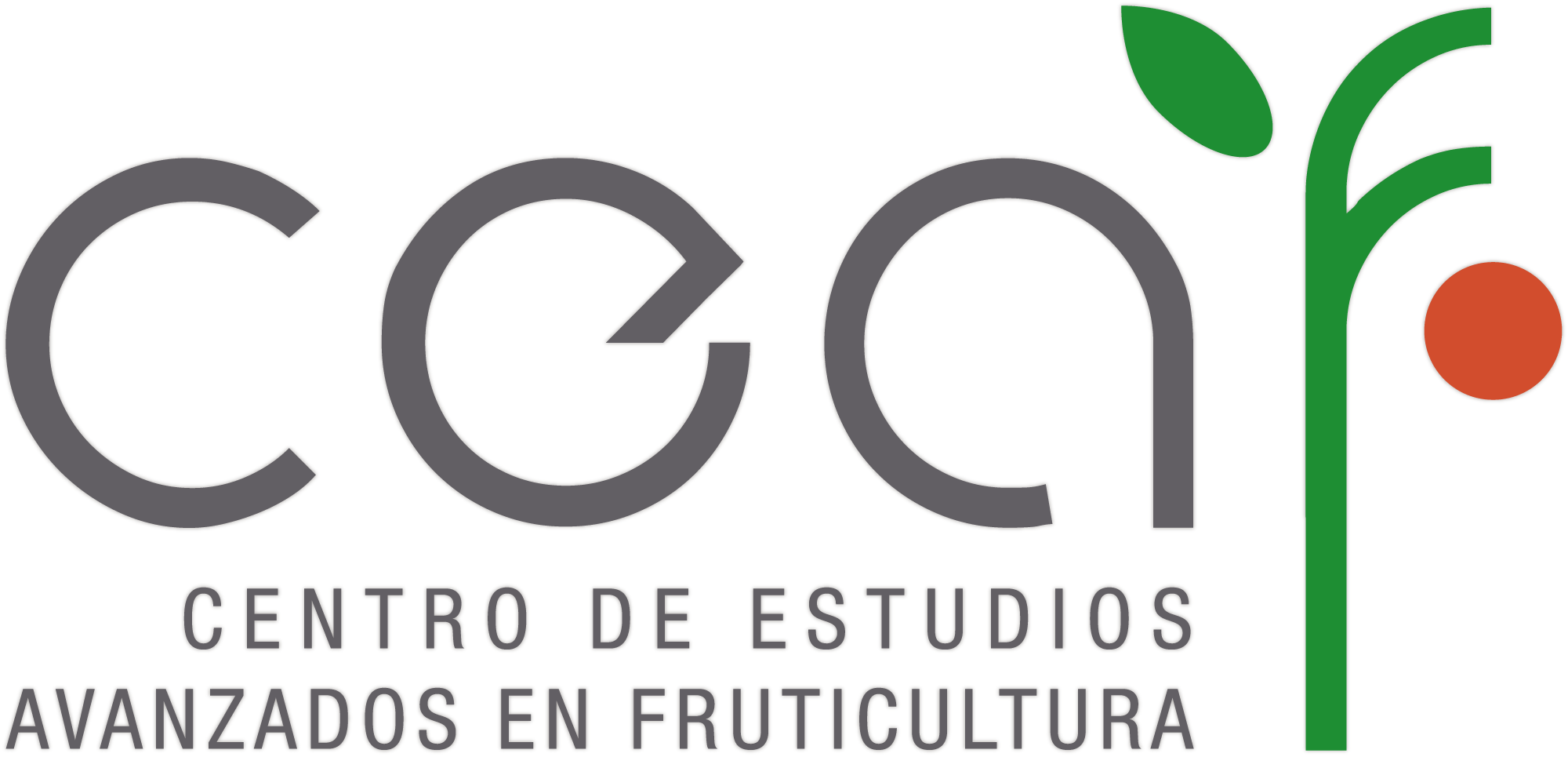 Convenio 4